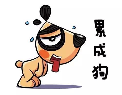 餐飲策劃